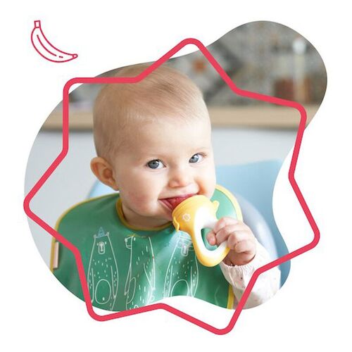 BADABULLE ALIMENTADOR