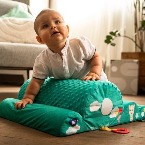 SOPHIE NUBE DE MOTRICIDAD