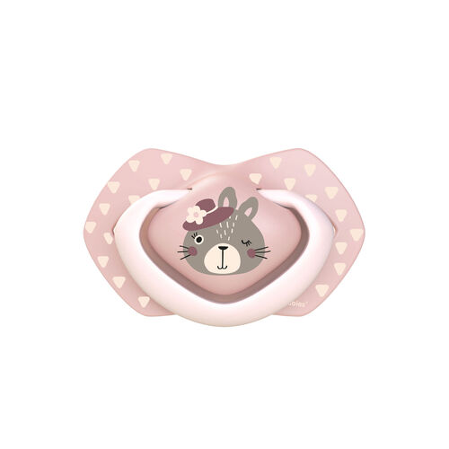 CANPOL BABIES PACK CHUPETES SIL BOJOUR PARIS ROSA 6-18M