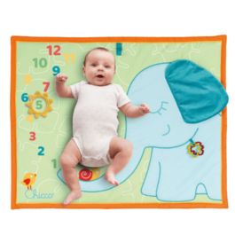 CHICCO ALFOMBRA FOTOGRAFICA MENSUAL