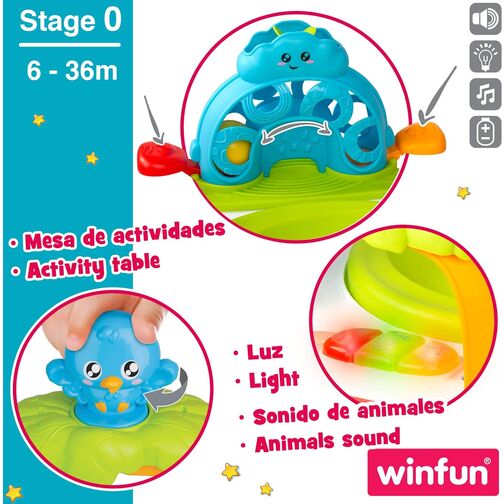 WINFUN CENTRO DE ACTIVIDADES