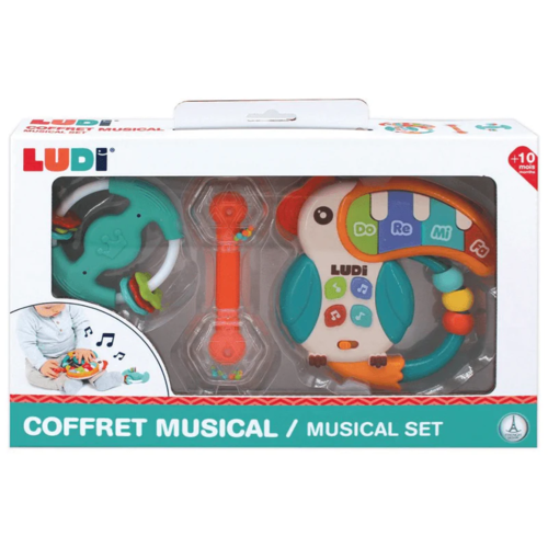 LUDI CONJUNTO MUSICAL