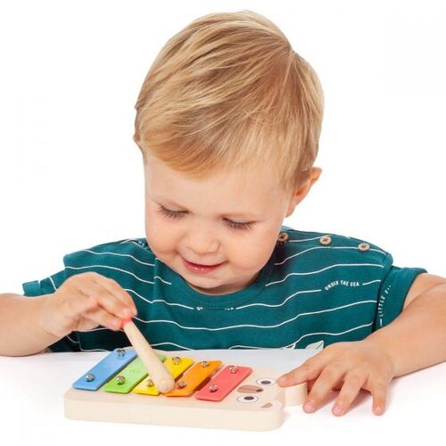 MOLTO SET MUSICAL MADERA
